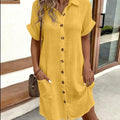 Stylish Polo Dress