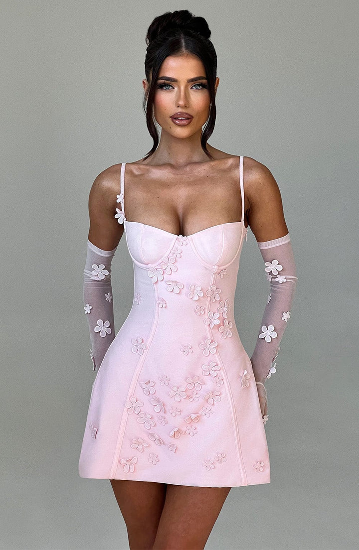 Blush Dalary Mini Dress