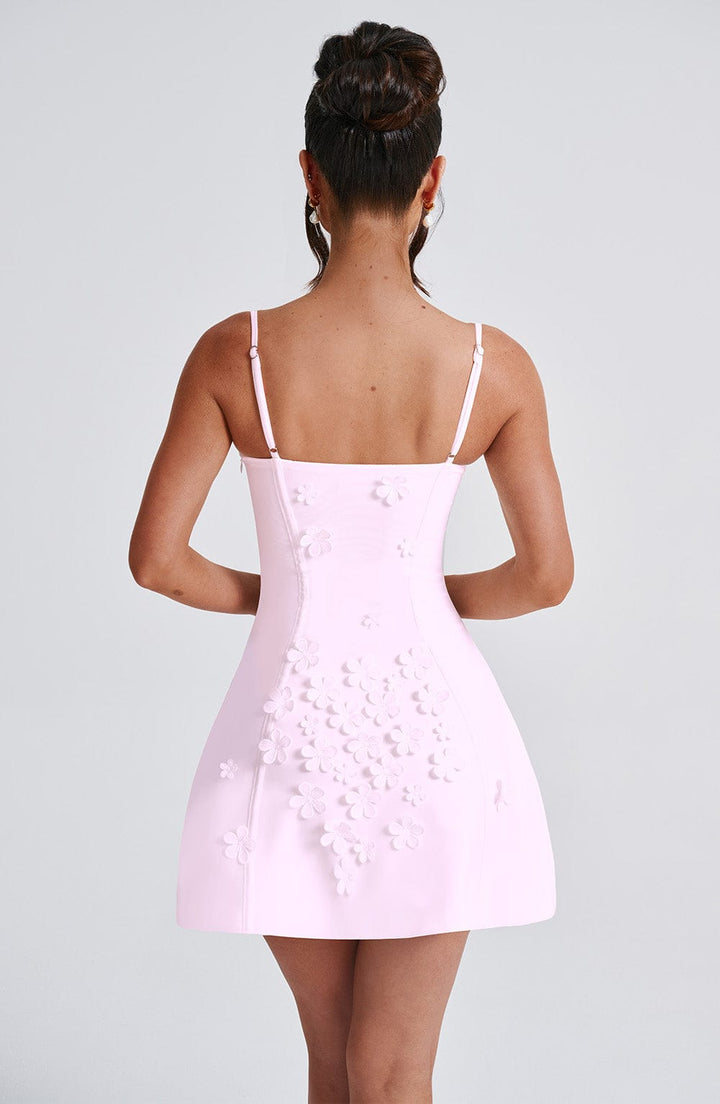 Blush Dalary Mini Dress