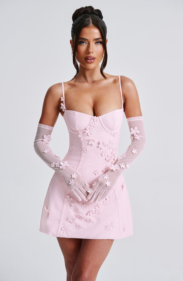 Blush Dalary Mini Dress