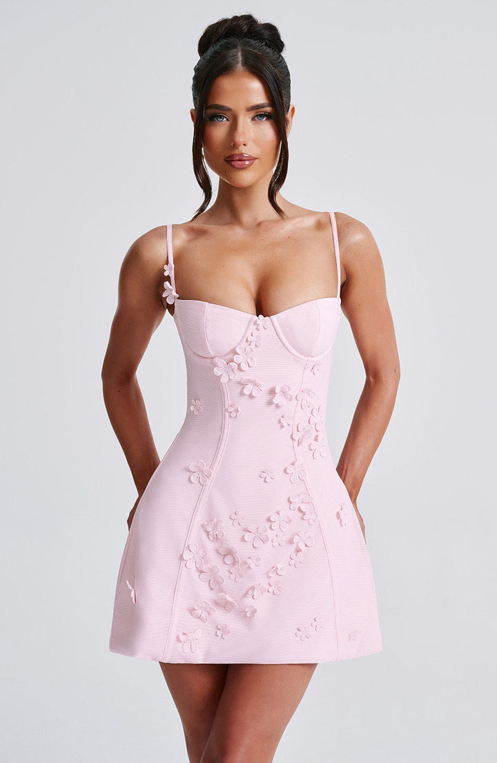 Blush Dalary Mini Dress