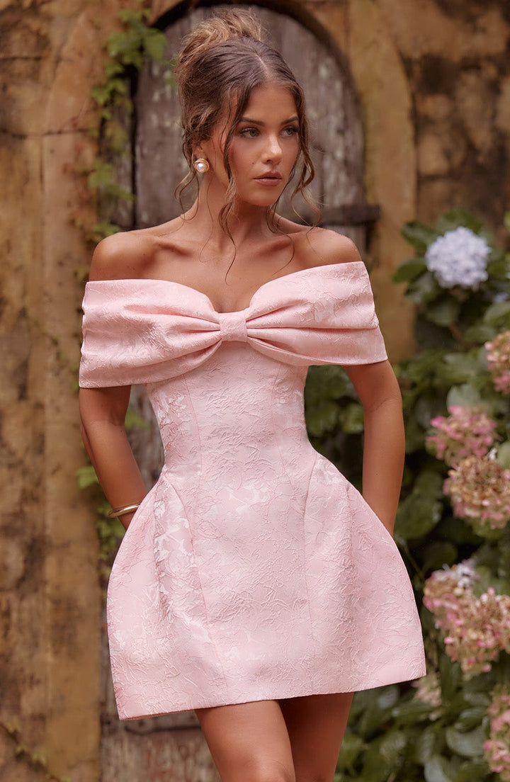 Blush Raquel Mini Dress